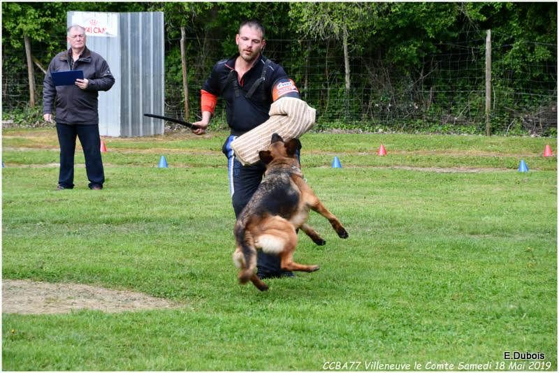 Korung Initiale Dans la Poche pour Lola !! 