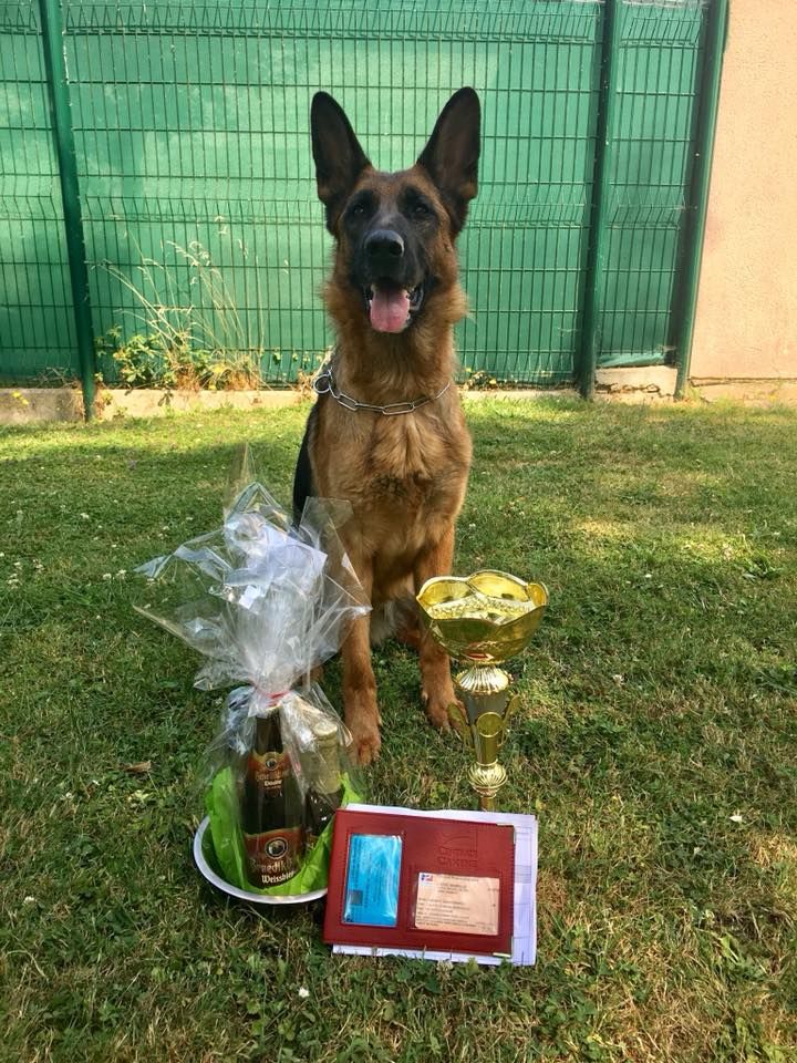 Du Domaine Danathalis - Brevet Ring pour Lola !!