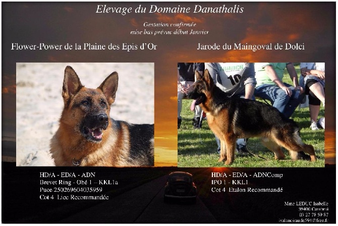 Du Domaine Danathalis - Gestation confirmée !