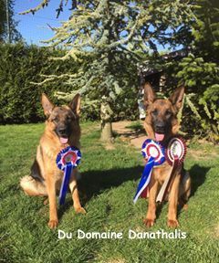 Du Domaine Danathalis - Carton Plein à Maubeuge !!